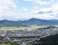 기사이미지