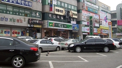 기사이미지